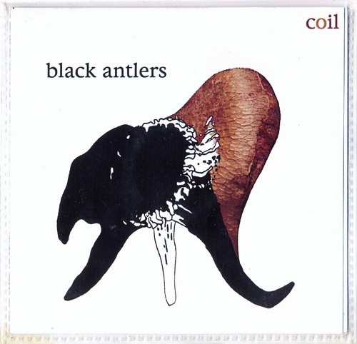coil_black antlers